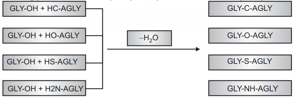 Schematic representation of various types of glycosides
