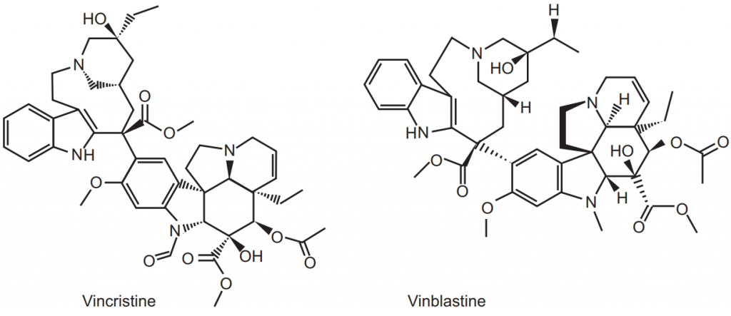 Structure of Vinca alkaloids