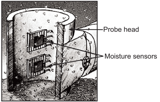 A labeled diagram of Tewameter probe 