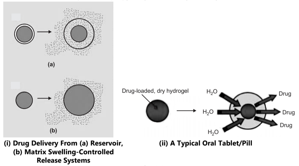 Drug Release from Polymer by Water Penetration (Swelling) 