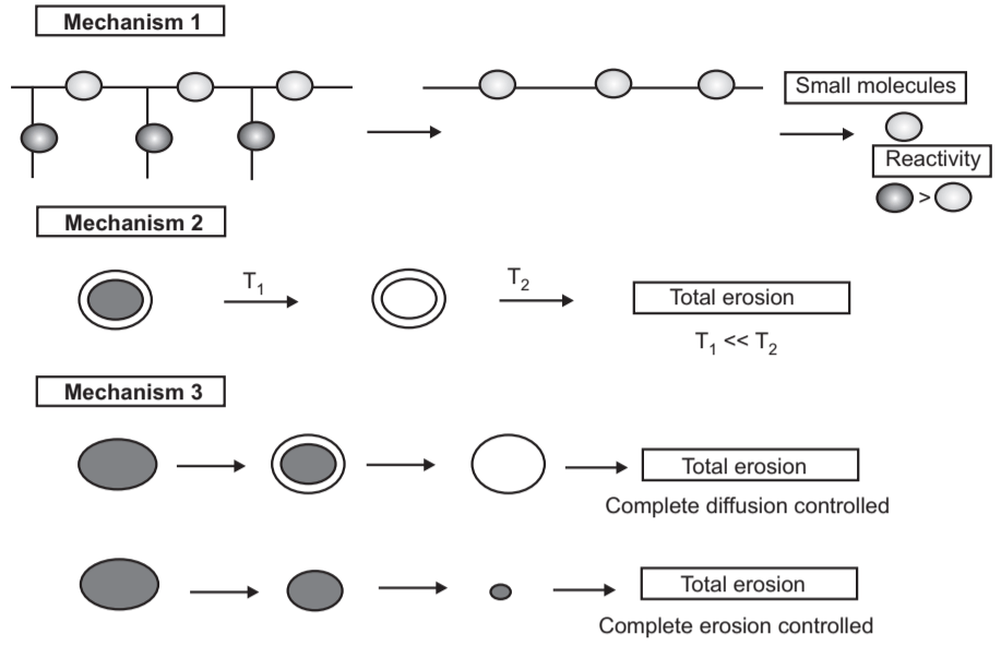 Mechanism of Erosion of Polymers