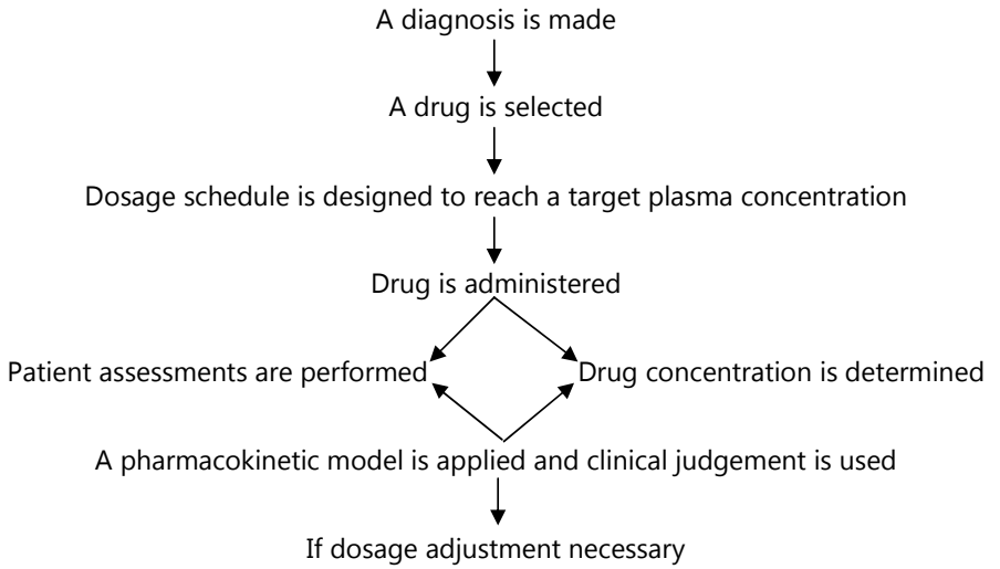 Process of Reaching Dosage Decisions with Therapeutic Drug Monitoring 