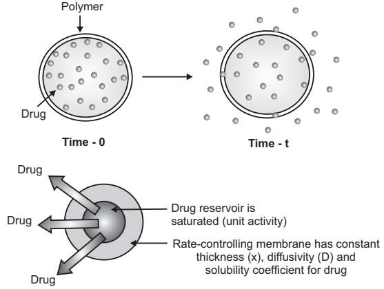 Schematic Representation of Reservoir Diffusion Controlled Drug Delivery Device