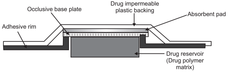 Transdermal Drug Delivery System 