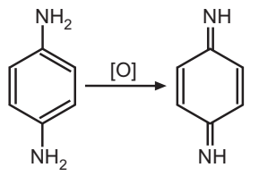 oxidation of p-phenylenediamine to the quinone diimine