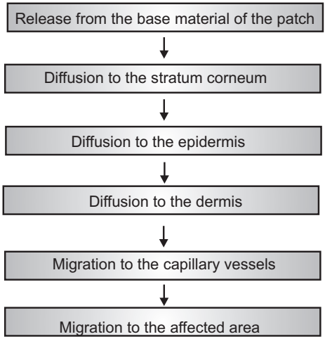 Mechanism of Transdermal Permeation
