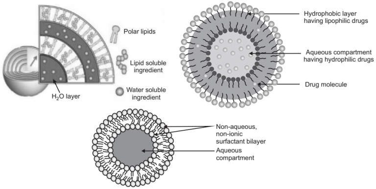 niosomes research articles pdf