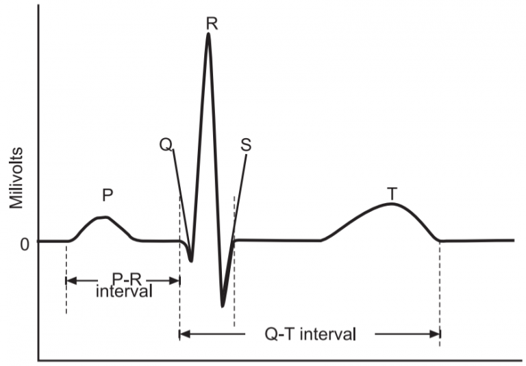 Body Fluids and Circulation - Solution Parmacy