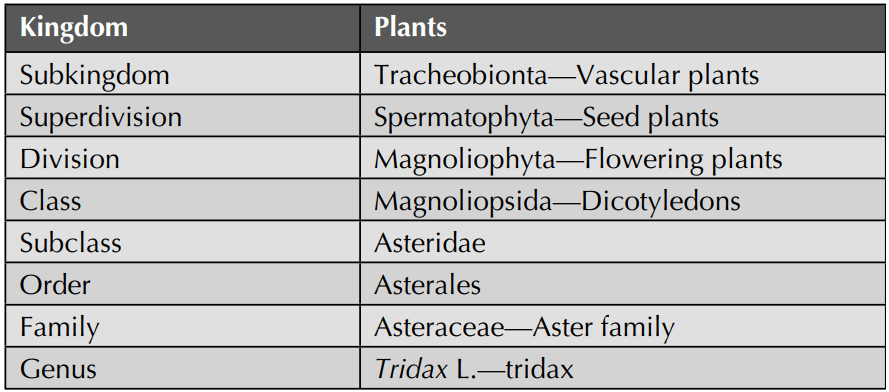 Taxonomical Classification