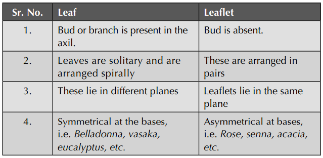 basic difference botanically between the leaf and the leaflet