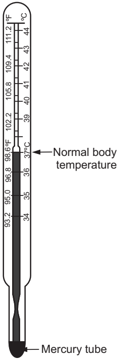 Clinical  thermometer