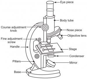 Study of Compound Microscope - Solution Parmacy