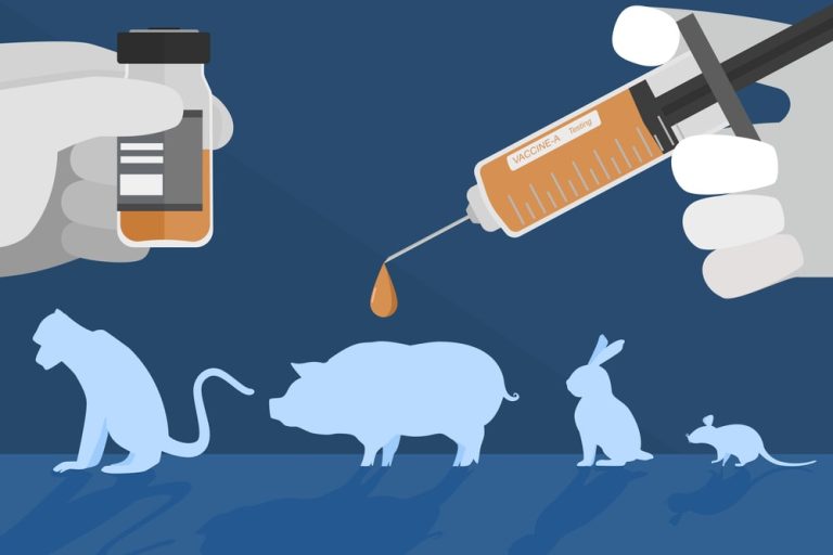 Animal Toxicity Testing
