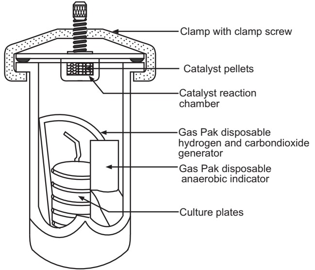 Anaerobic jar Gas Pak system