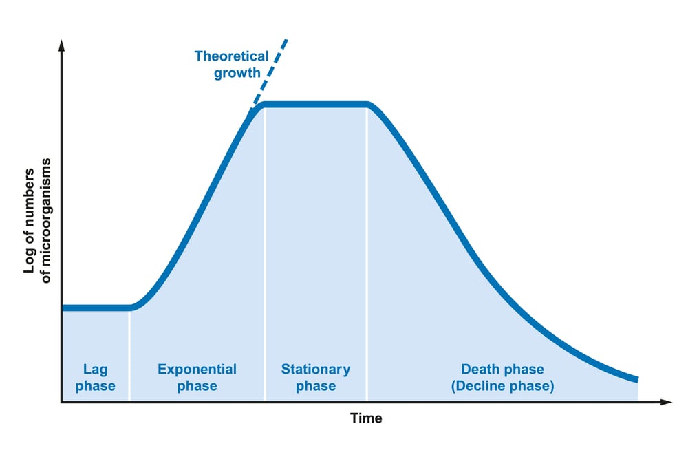 Growth Curve of Bacteria 