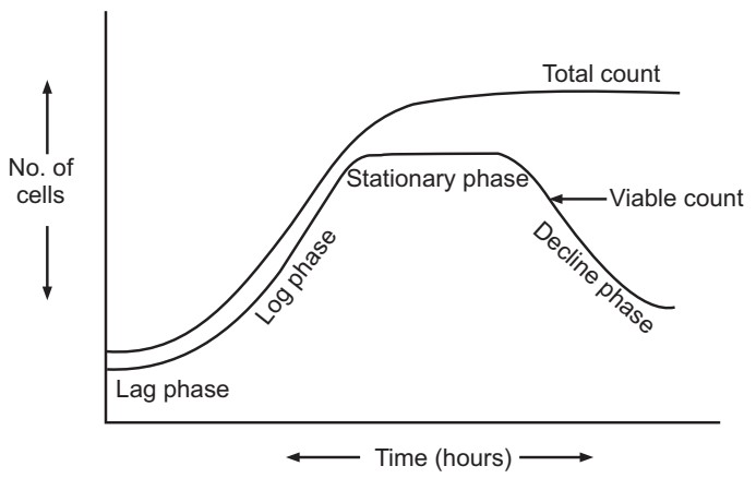 Growth curve of bacteria