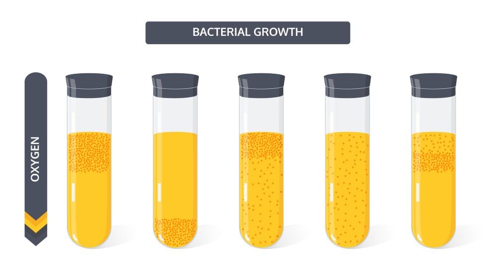 Physical Parameters For Bacterial Growth 