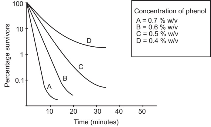 Effect of phenol on Gram-negative organisms