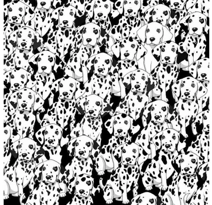 Can You Find the Hidden Dog Among These Dalmatians in Just 8 Seconds