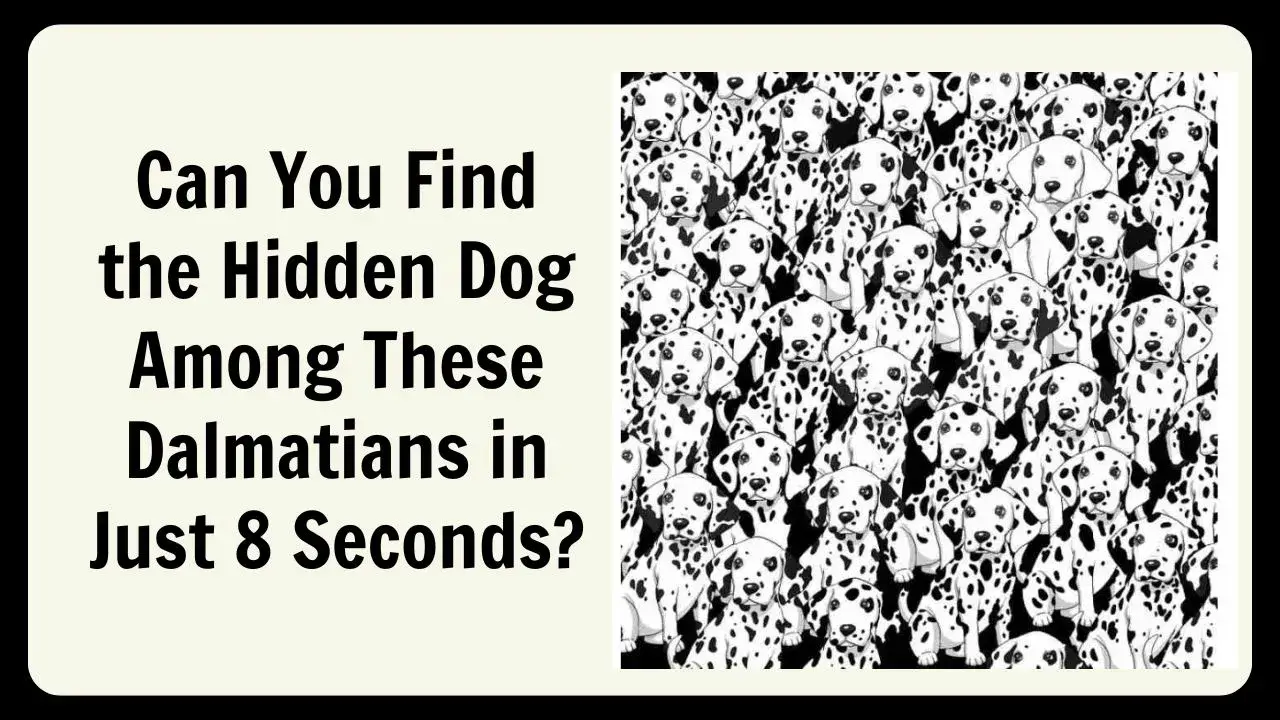 Can You Find the Hidden Dog Among These Dalmatians in Just 8 Seconds