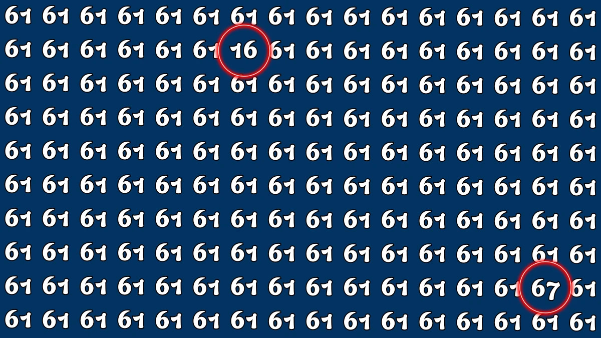 Can You Spot 16 and 67 Among 61 in 6 Seconds  Optical Illusion Challenge