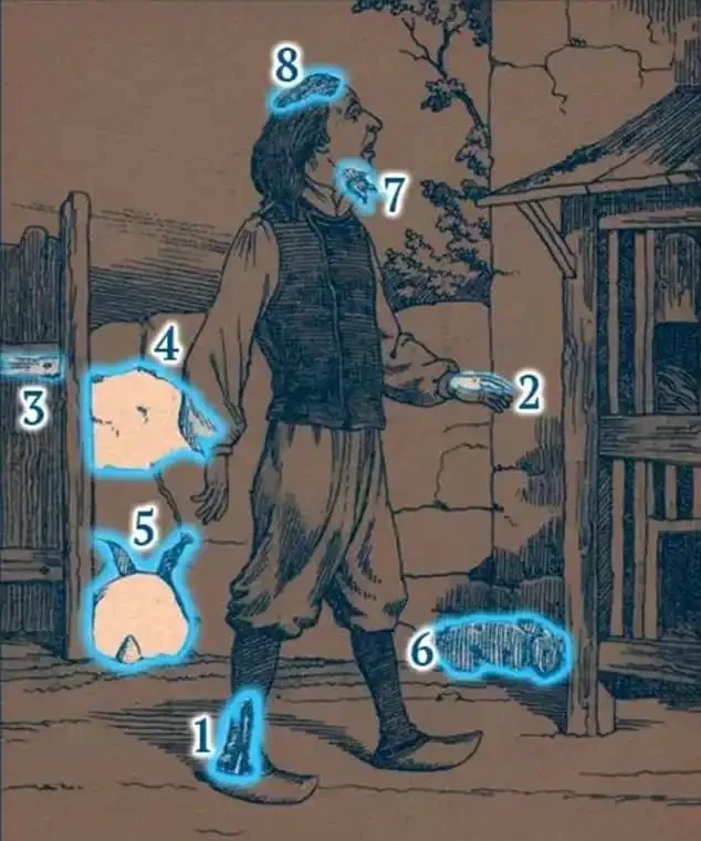 Can You Spot All 8 Rabbits in This Mind-Bending Optical Illusion