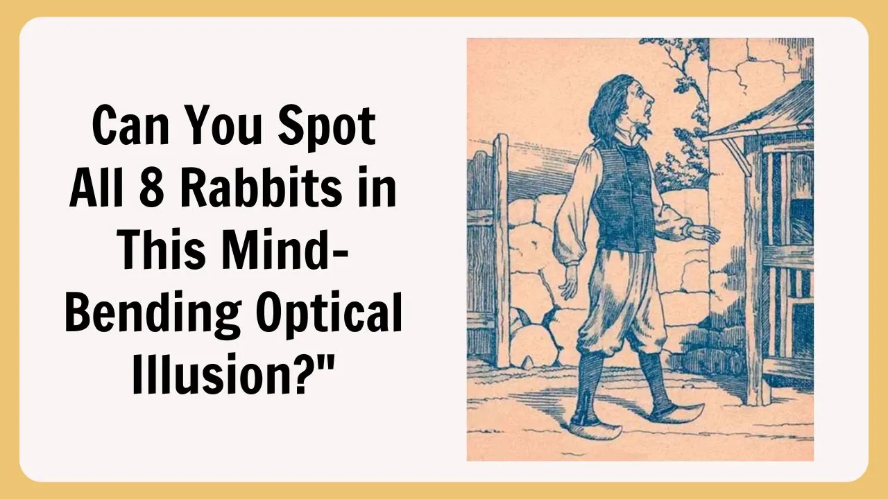 Can You Spot All 8 Rabbits in This Mind-Bending Optical Illusion