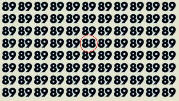 Can You Spot the Hidden 88 Among the 89s in Just 6 Seconds