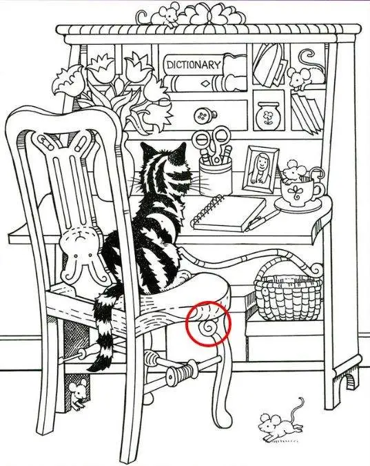 Can You Spot the Hidden Snail in This Cat Photo in Under 12 Seconds