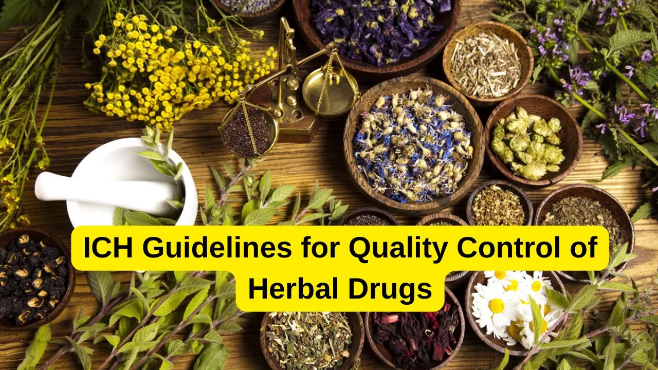 ICH Guidelines for Quality Control of Herbal Drugs
