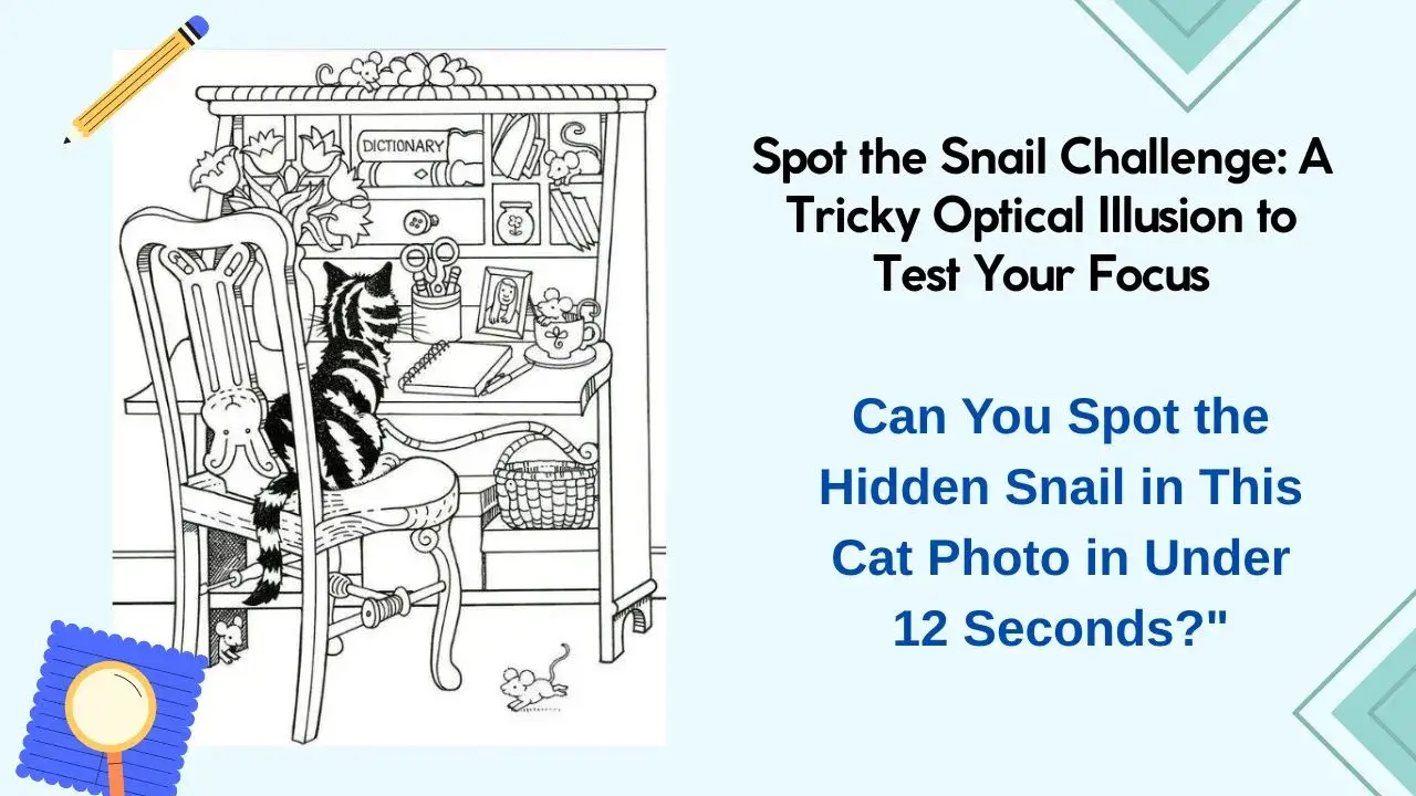 Optical Illusion Challenge Can You Spot the Hidden Snail in This Cat Photo in Under 12 Seconds