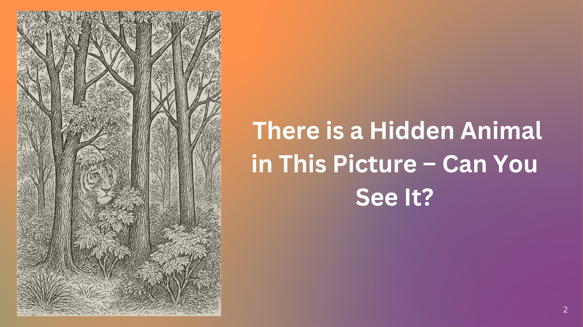 Can You See the Tiger? This Optical Illusion Is Driving the Internet Crazy!