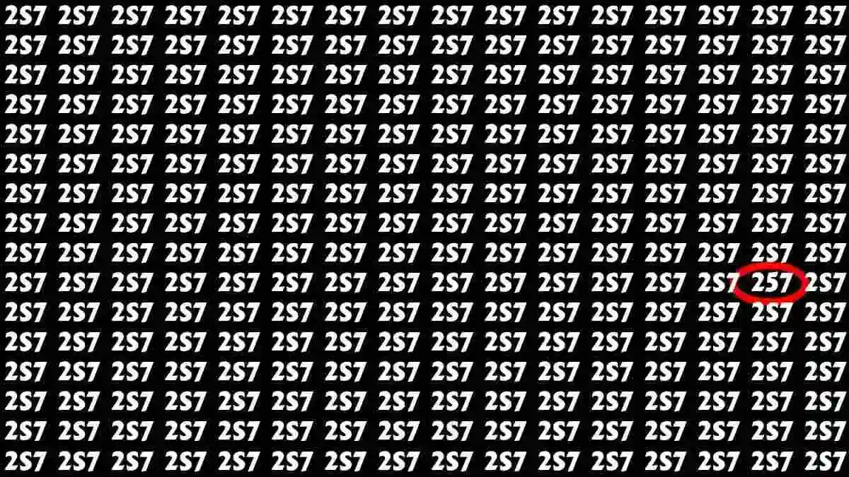 Spot the Number 257 in 8 Seconds – Only 1% Can Beat This Optical Illusion!