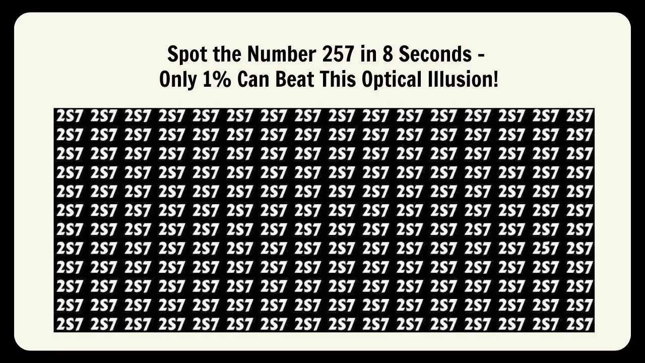 Spot the Number 257 in 8 Seconds – Only 1% Can Beat This Optical Illusion!