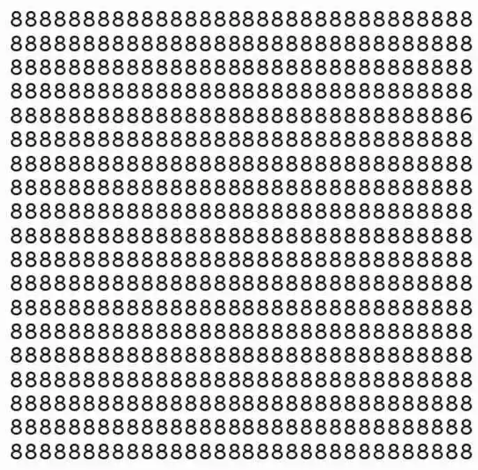 Can You Find the Hidden 6