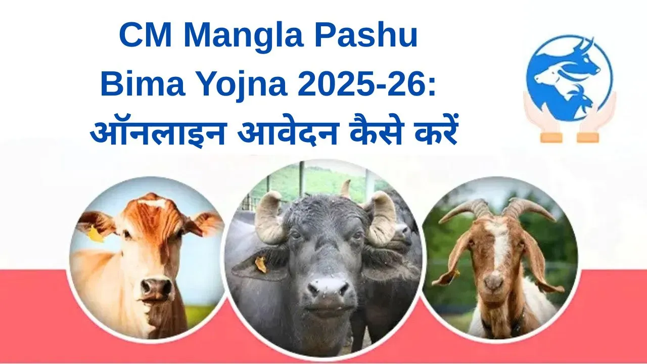 CM Mangla Pashu Bima Yojna 2025-26