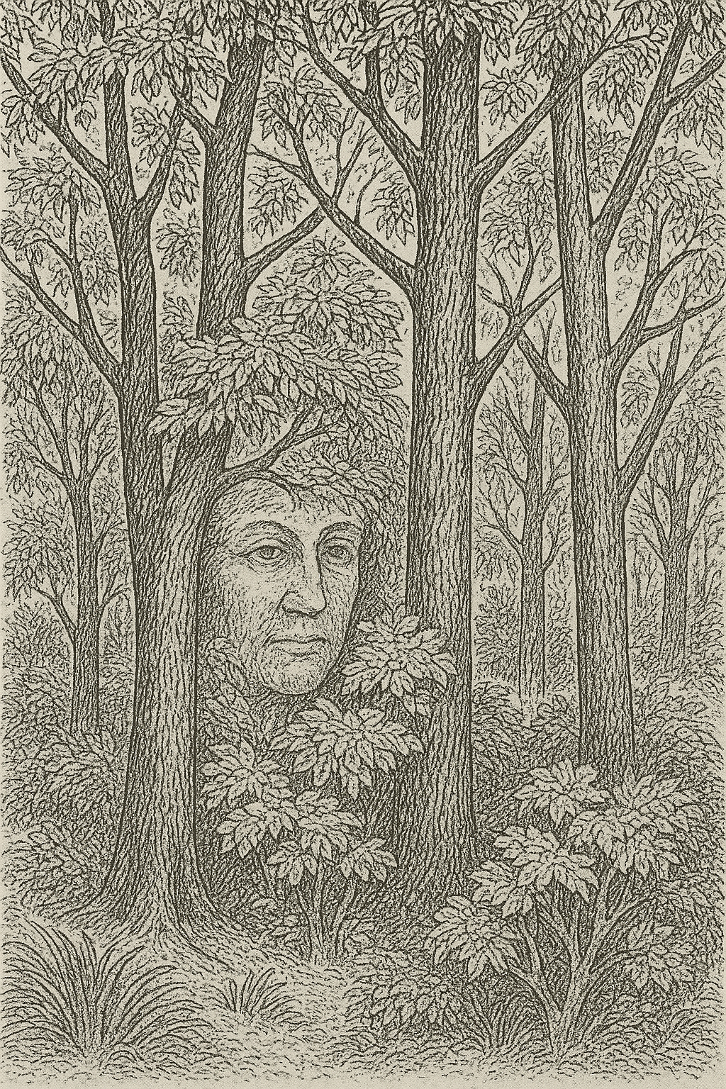 Can You Spot the Hidden Face? This Optical Illusion Will Blow Your Mind!
