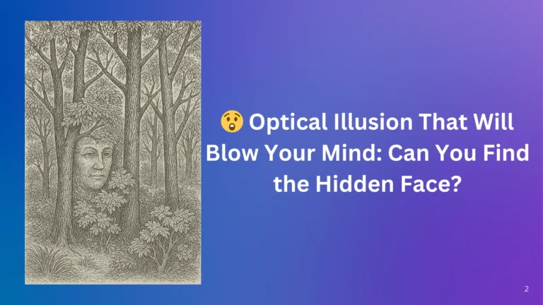 Hidden Face Challenge: Can You Beat the Clock?