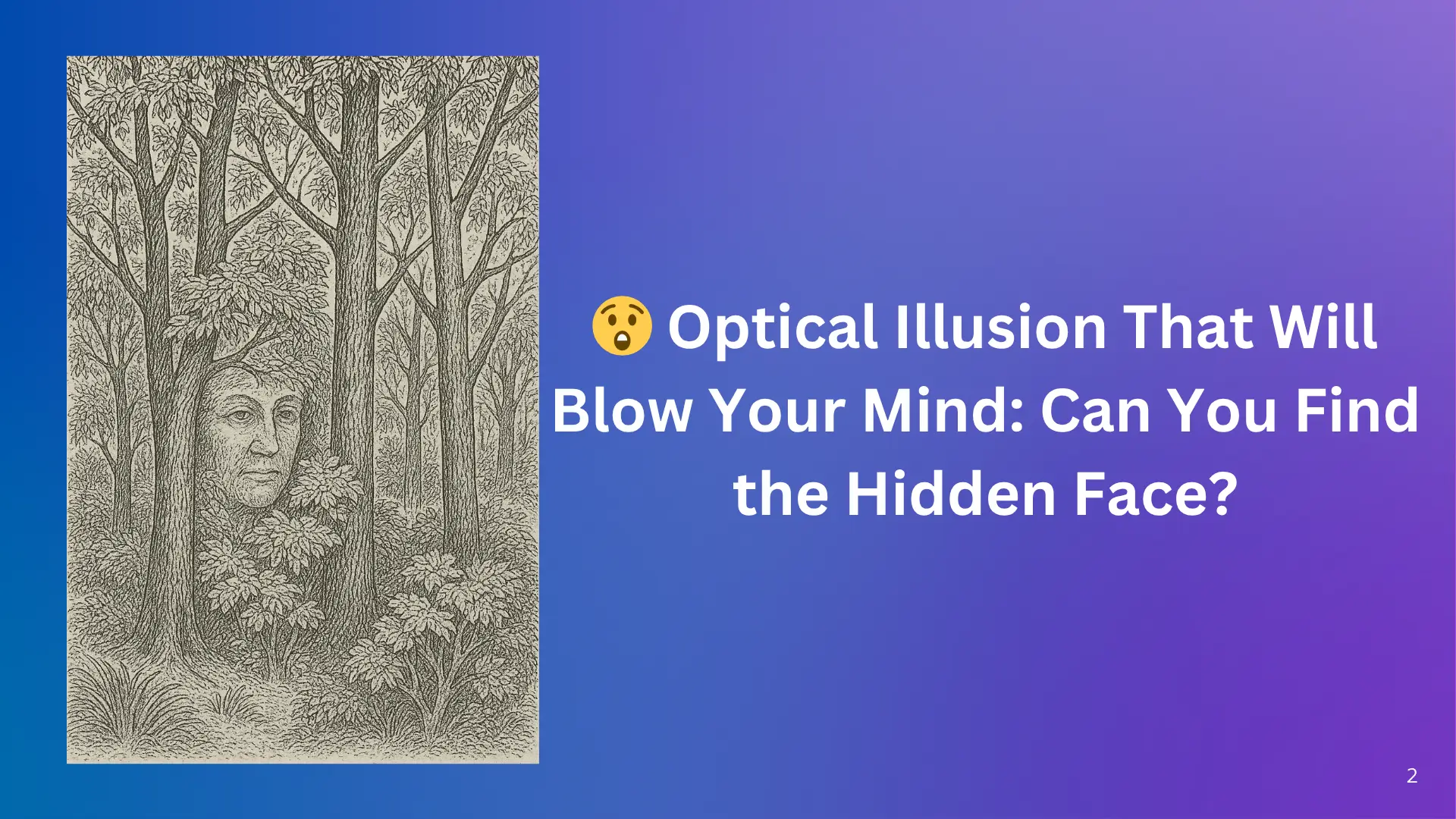 Hidden Face Challenge: Can You Beat the Clock?