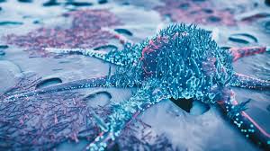 Korean Scientists Discover Way to Reverse Cancer Cells into Healthy Ones