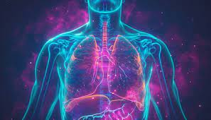 What is Metformin mainly used for?